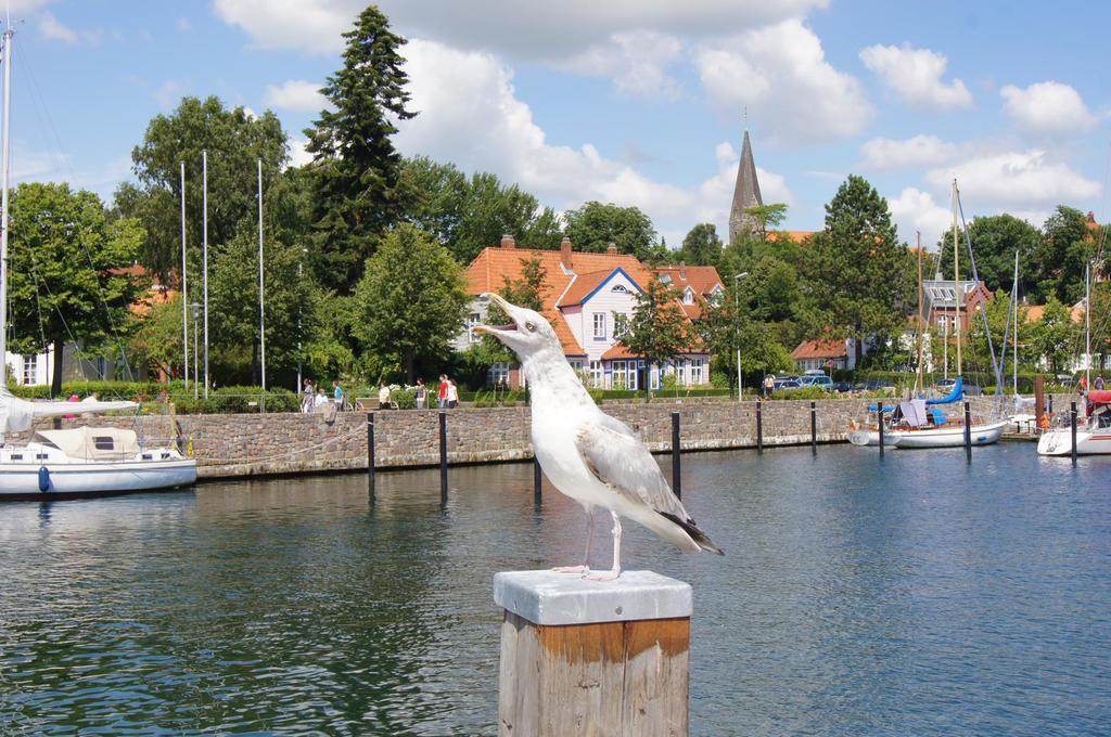 Ostsee Mobilheime Heideby Waabs Extérieur photo